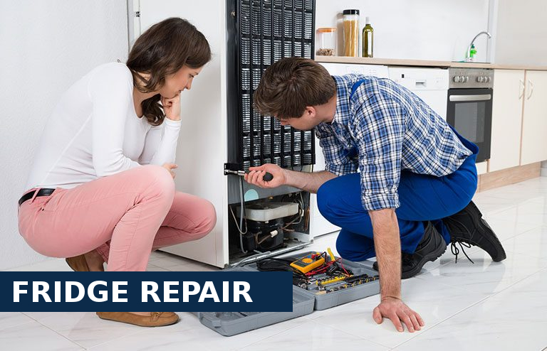 Fridge Repair Borehamwood